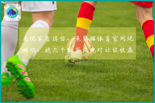 老玩家告诉你，来熊猫体育官网玩游戏，这几个新变化绝对让你收益翻倍！