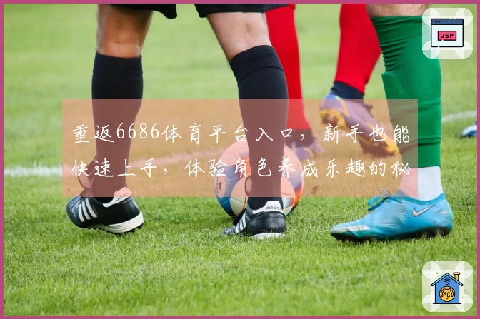 重返6686体育平台入口，新手也能快速上手，体验角色养成乐趣的秘密武器