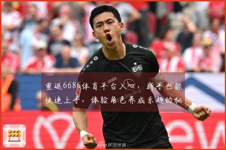 重返6686体育平台入口，新手也能快速上手，体验角色养成乐趣的秘密武器