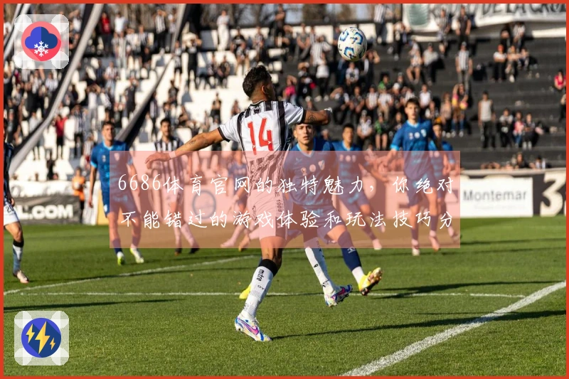 6686体育官网的独特魅力，你绝对不能错过的游戏体验和玩法技巧分享